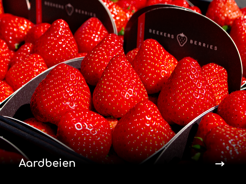 Aardbeien