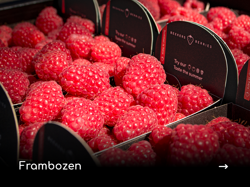 Frambozen