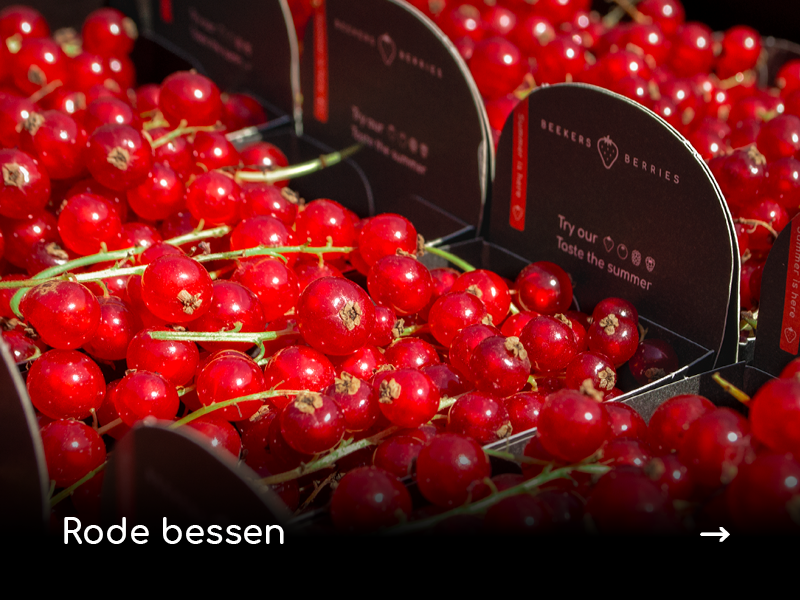 Rode bessen